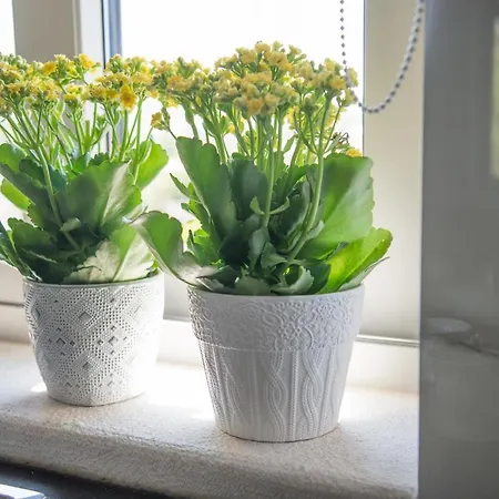 Lejlighed Fotini's House