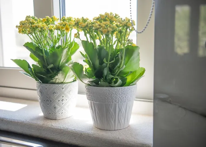 Апартаменты Fotini's House