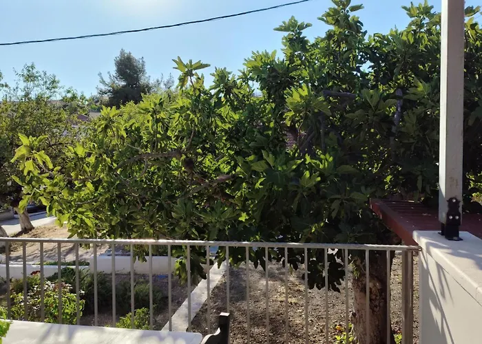 Апартаменты Fotini's House